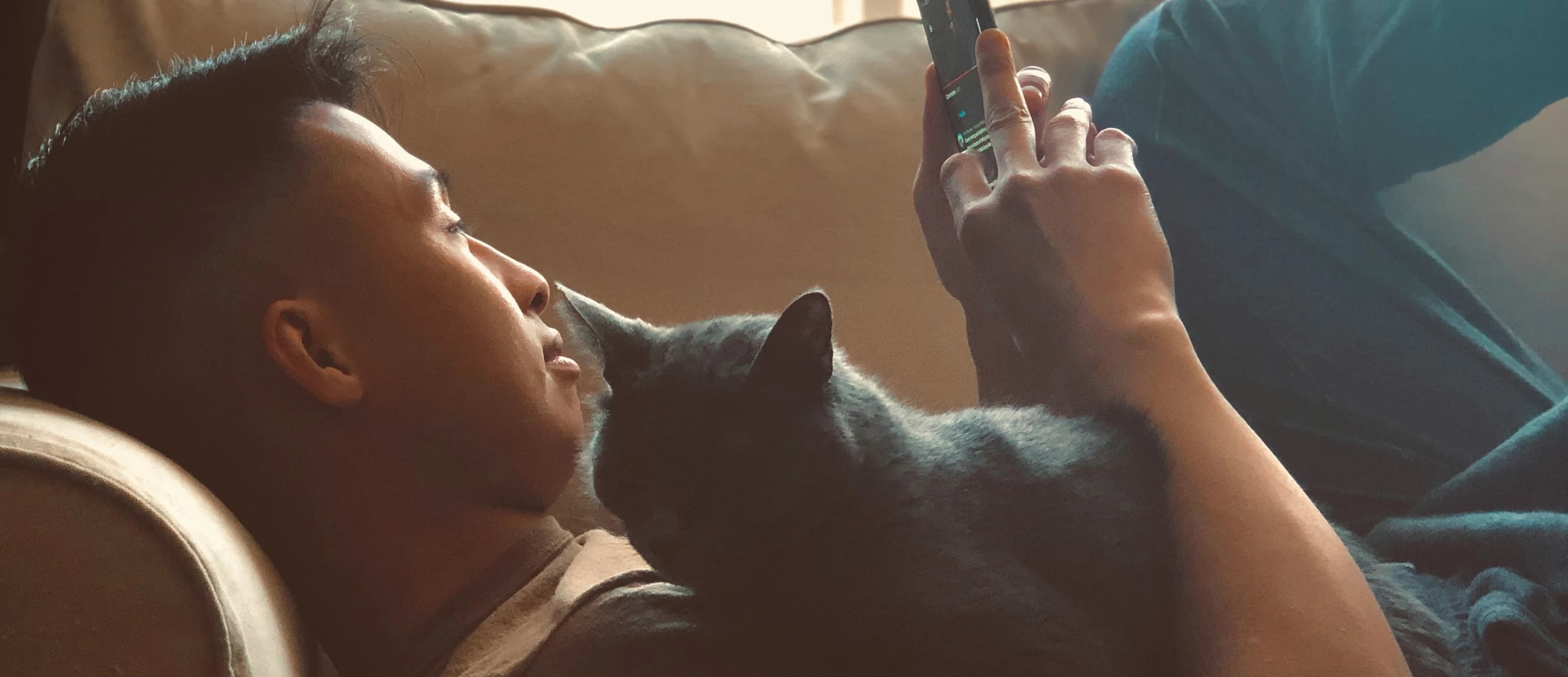 Person using their smartphone with their cat